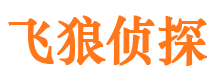 上街市婚外情调查